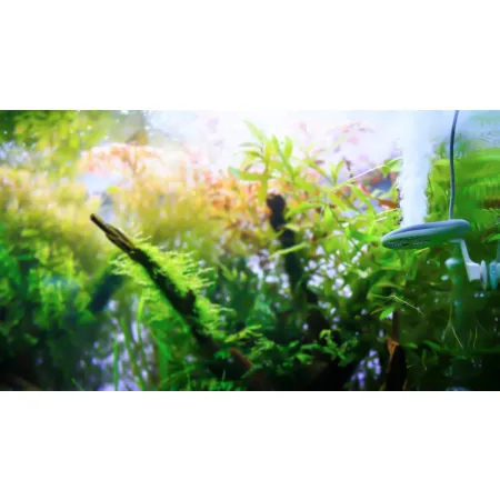 Twinstar 2 YOTTA Plus - eliminator chorób-1925143