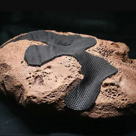 Wacool Rainforest Plant Cotton 290x290mm - hydrolon-1925543