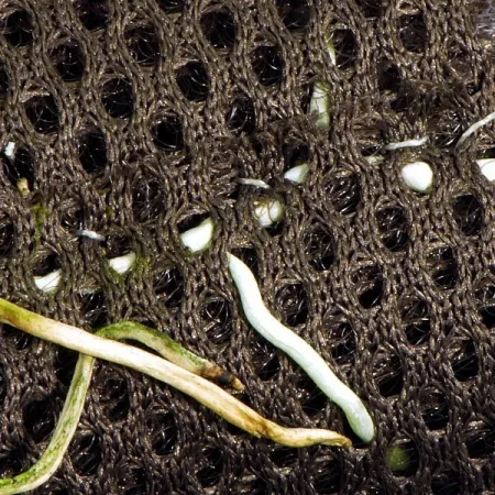 Wacool Rainforest Plant Cotton 590x440mm - hydrolon-1925574