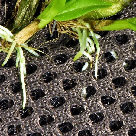 Wacool Rainforest Plant Cotton 590x440mm - hydrolon-1925575