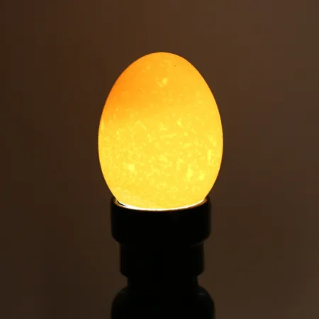 ZECO Owoskop - tester zapłodnienia jajek-1925910