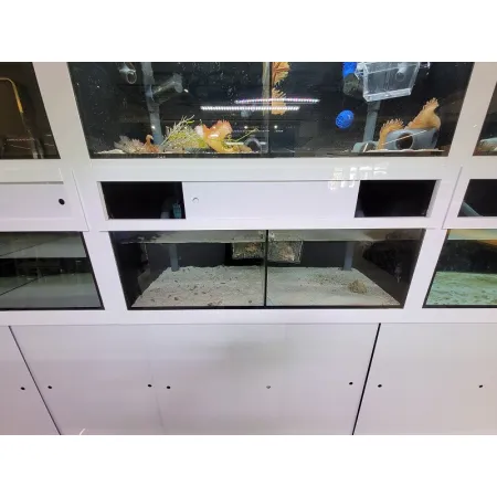 Zestaw białych regałów sprzedażowych-1925920