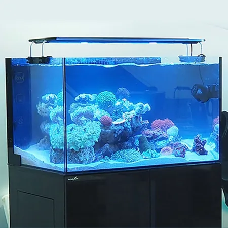 Zetlight Horizon QMAVEN II Q6-120 - lampa LED 220W Marine-1926015