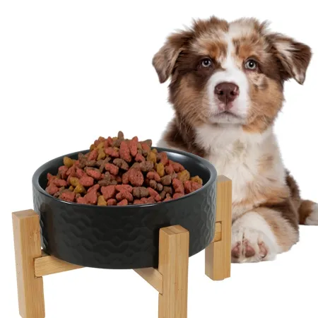 Zolux Keramo Solo - miska ceramiczna czarna 300ml-1926061