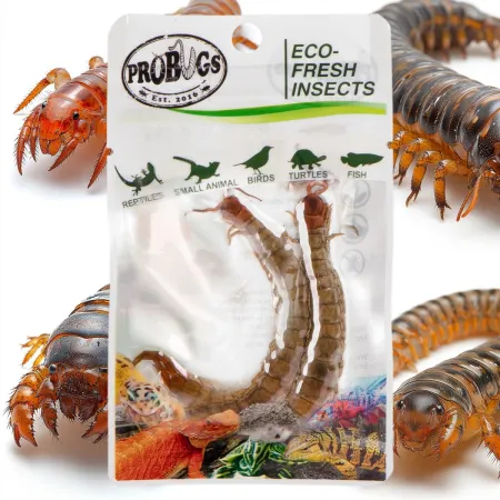 ProBugs Eco-Fresh Scolopendra Centipede 15 x 2pcs - świeże skolopendry 15 saszetek-1927784
