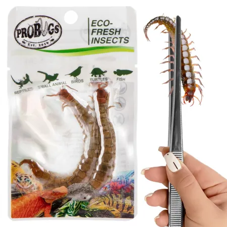 ProBugs Eco-Fresh Scolopendra Centipede 15 x 2pcs - świeże skolopendry 15 saszetek-1927914