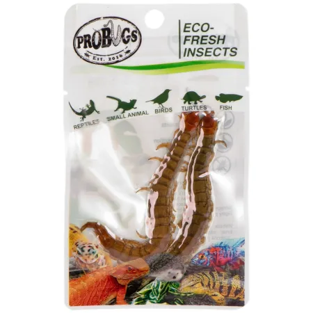 ProBugs Eco-Fresh Scolopendra Centipede 15 x 2pcs - świeże skolopendry 15 saszetek-1927920