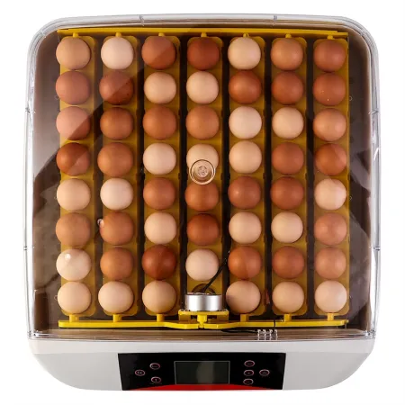 Kruger Meier ProEggora 56 Auto - inkubator z termostatem na 56 jaj-1928848