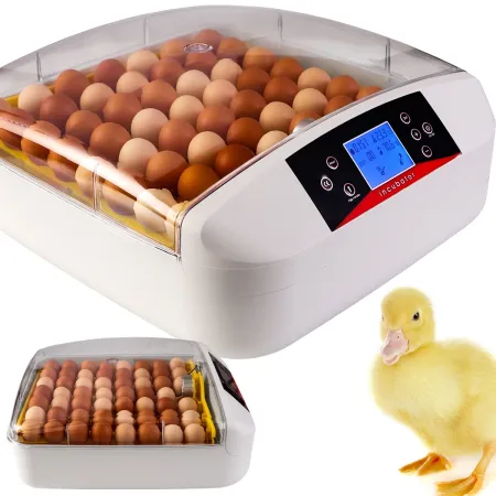 Kruger Meier ProEggora 56 Auto - inkubator z termostatem na 56 jaj-1928853