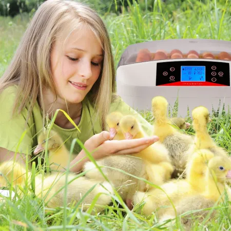 Kruger Meier ProEggora 56 Auto - inkubator z termostatem na 56 jaj-1928855