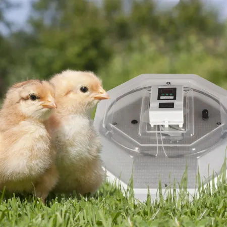 Kruger Meier ProLexor 60 - inkubator z termostatem na 60 jaj-1928867