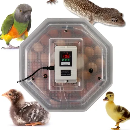 Kruger Meier ProLexor 60 - inkubator z termostatem na 60 jaj-1928870