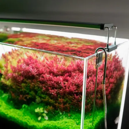 Chihiros B-Series B20 LED Light with Commander - lampa led sterowana aplikacją 20-30cm-1929600