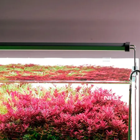 Chihiros B-Series B20 LED Light with Commander - lampa led sterowana aplikacją 20-30cm-1929601