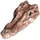 Terrario Crocodile Skull - czaszka krokodyla do terrarium 30x14x9 cm-1922471