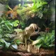Terrario Crocodile Skull XL - czaszka krokodyla do terrarium 23x11x16 cm-1922482
