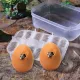 Terrario EggIncubator - inkubator na 12 jaj-1922563