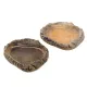 Terrario FoodStone XL - miska na pokarm 20x15x3cm-1922663