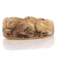 Terrario FoodStone XS - miska na pokarm 8x7x2,5cm-1922669