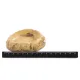 Terrario FoodStone XS - miska na pokarm 8x7x2,5cm-1922675
