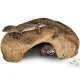 Terrario Gecko Cave S - kryjówka do terrarium 16x10x6cm-1922825
