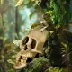 Terrario Human Skull XL - czaszka ludzka do terrarium 15x10x9 cm-1923032