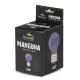 Terrario Manguna Moonlight Lamp - żarówka nocna 25W-1923168