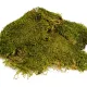 Terrario North King Moss 100g - mech płat-1923314