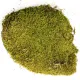 Terrario North King Moss 100g - mech płat-1923315