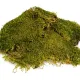 Terrario North King Moss 50g - mech płat-1923343