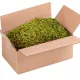 Terrario North King Moss Box 1.5l - mech tropikalny-1923357