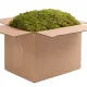 Terrario North King Moss Box 4l - mech tropikalny