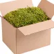 Terrario North King Moss Box 4l - mech tropikalny-1923371