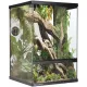 Terrario Oasis Verde 10 - terrarium 30x30x45 z zestawem-1923378