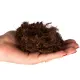 Terrario Paraguay Muds Fibres - torf włóknisty 5l-1923431