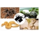 Terrario Premium Repti Pad 10W - mata grzewcza z regulacją-1923509