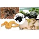 Terrario Premium Repti Pad 20W - mata grzewcza z regulacją-1923521