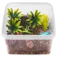 Terrario ReptiBox 19x19x12cm - przeźroczyste terrarium faunarium-1923697