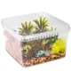 Terrario ReptiBox 19x19x12cm - przeźroczyste terrarium faunarium-1923700
