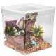 Terrario ReptiBox 19x19x19cm - przeźroczyste terrarium faunarium