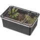 Terrario Reptiland Black 19x12x7,5cm - czarne terrarium faunarium-1923717