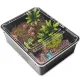 Terrario Reptiland Black 25x19x7,5cm - czarne terrarium faunarium-1923725