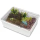 Terrario Reptiland White 25x19x7,5cm - białe terrarium faunarium-1923732