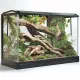 Terrario Sabertooth Skull  - czaszka tygrysa do terrarium 13x8,5x11 cm-1923941