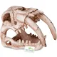 Terrario Sabertooth Skull  - czaszka tygrysa do terrarium 13x8,5x11 cm-1923945