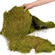 Terrario Shadow Forest Moss - mech naturalny 35x28cm-1924008