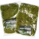Terrario Shadow Forest Moss - mech naturalny 35x28cm-1924010