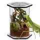 Terrario Spiders Tube Big200 - terrarium akrylowe-1924031