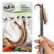 ProBugs Eco-Fresh Scolopendra Centipede 15 x 2pcs - świeże skolopendry 15 saszetek-1927782