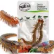 ProBugs Eco-Fresh Scolopendra Centipede 15 x 2pcs - świeże skolopendry 15 saszetek-1927912